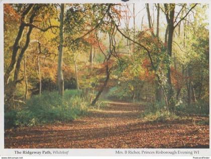 The Ridgeway Path Whiteleaf Buckinghamshire Womens Institute Postcard