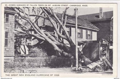 Angleterre - Homes Damaged by fallen on M.T. Auburn street, Cambridge, Mass