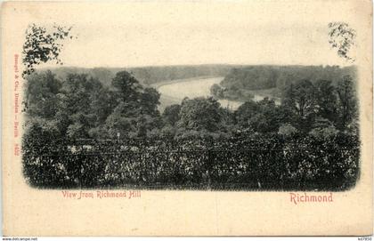 Richmond - View from Richmond Hill