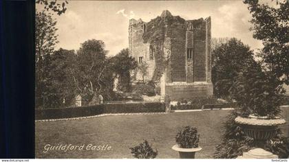 11250487 Surrey Heath Guildford Castle Surrey Heath