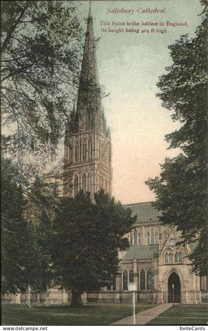 11193575 Salisbury Wiltshire Spire Salisbury