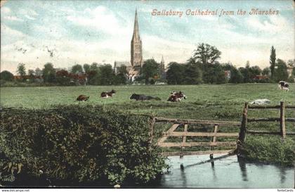 11193633 Salisbury Wiltshire Cathedral