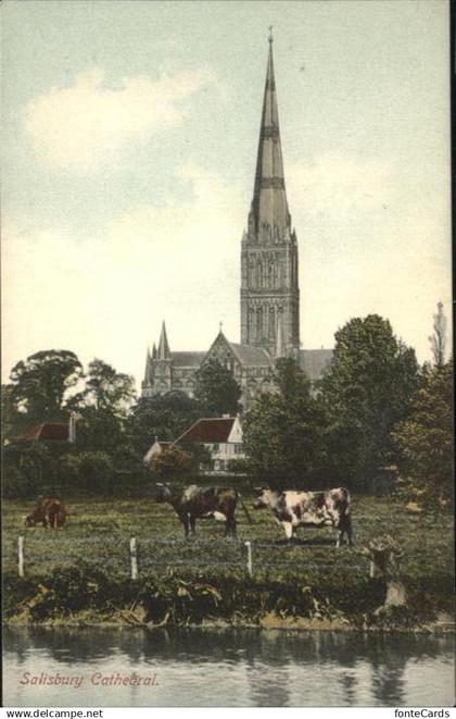 11193642 Salisbury Wiltshire Cathedral