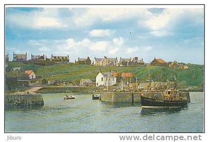BERWICKSHIRE / The Harbour entrance / St. Abbs  //  CP 2/173