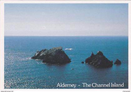 Alderney - The Channel Island - Coque Lihou