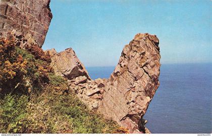 CPSM The hanging rocks-Alderney   L2966