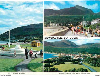 Irlande du Nord - Down - Newcastle - Multivues - Northern Ireland - Irlanda del Norte - CPM - Voir Scans Recto-Verso