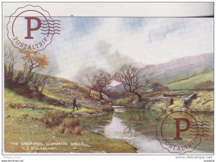 Early L & N.W. Railway Postcard - The Sheep Pool Llanwrtyd Wells Becknockshire Wales