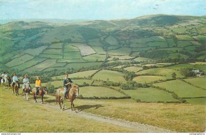 Postcard United Kingdom > Wales > Breconshire Builth Wells 1987