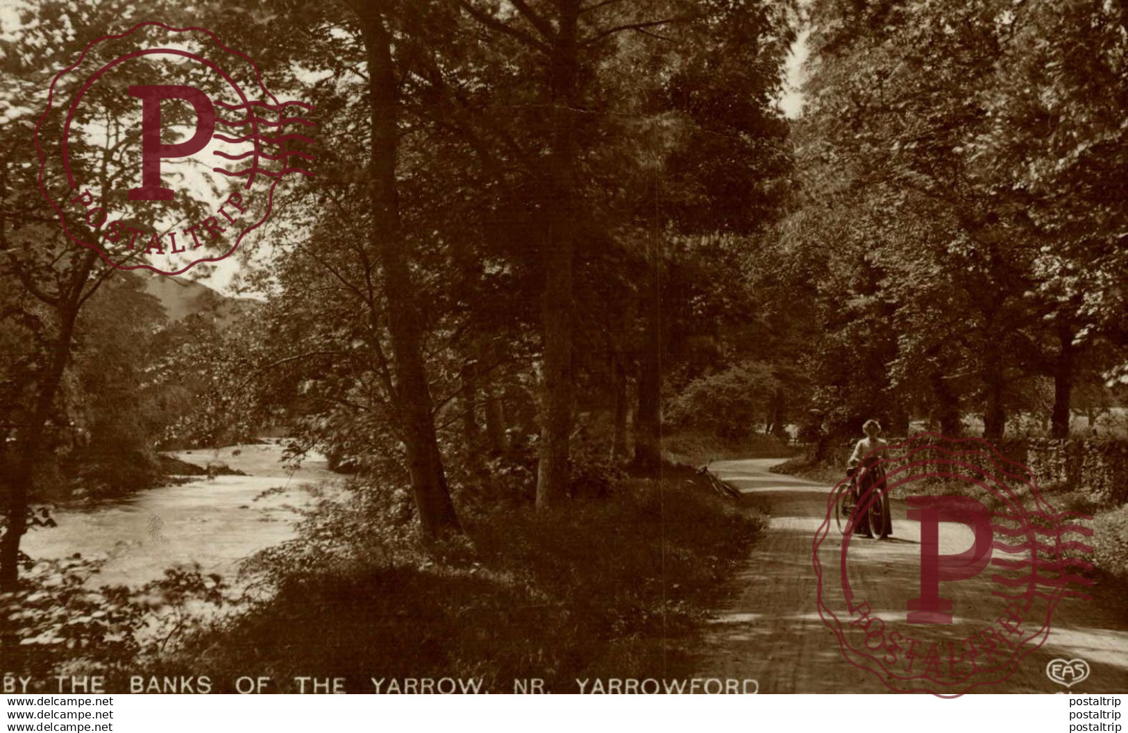 RPPC THE BANKS OF THE YARROW NR YARROWFORD