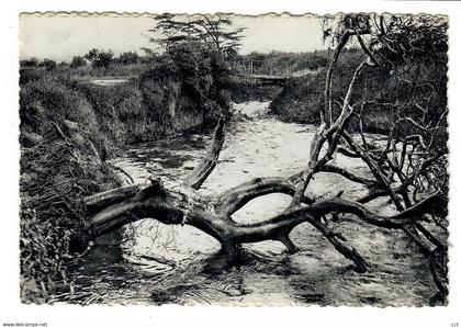 Ruanda-Urundi   Après l'orage   After storm   Na onweer