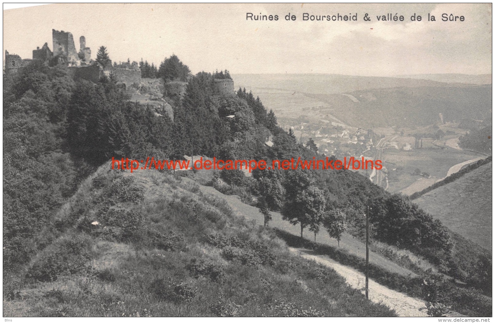 Ruines de Bourscheid - Bourscheid