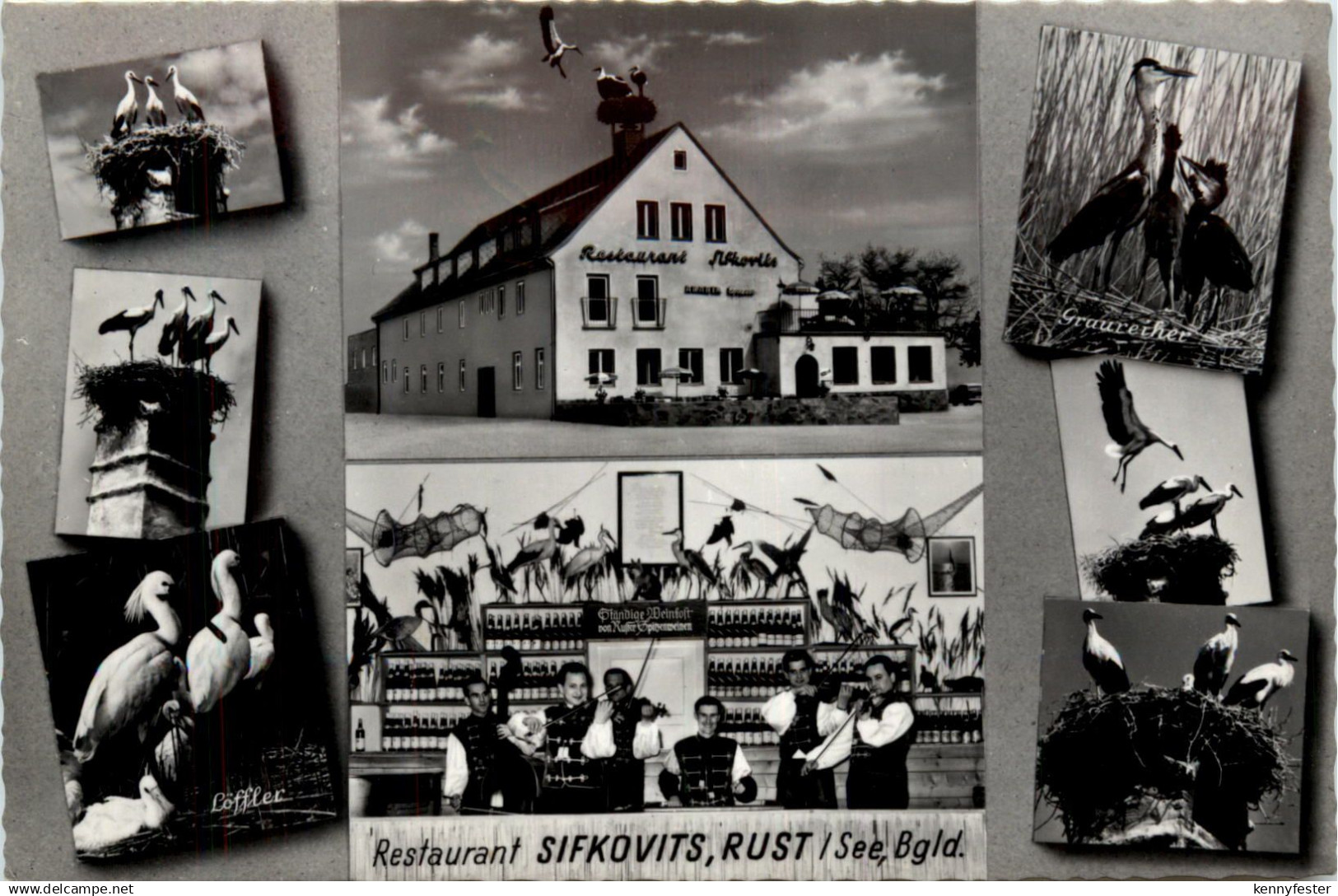 Rust Burgenland, Restaurant Sifkovits