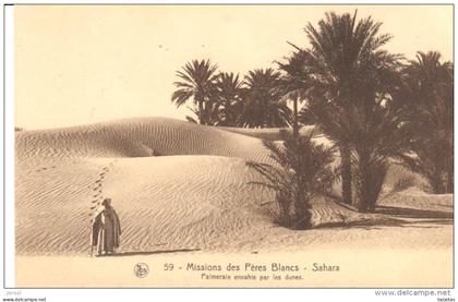 POSTAL  59.- SAHARA  - AFRICA  - MISSIONS DES PERES BLANCS  -PALMERALE ENVAHIE PAR LES DUNES