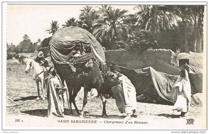 "Oasis Saharienne - Chargement d'un Bassour"