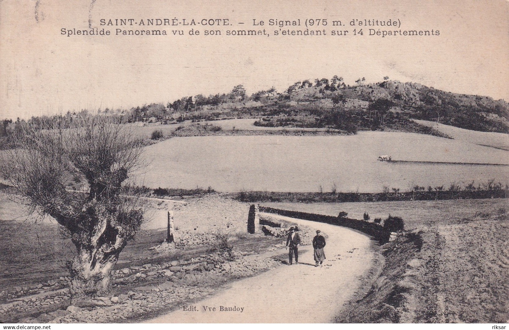 SAINT ANDRE LA COTE(ARBRE)