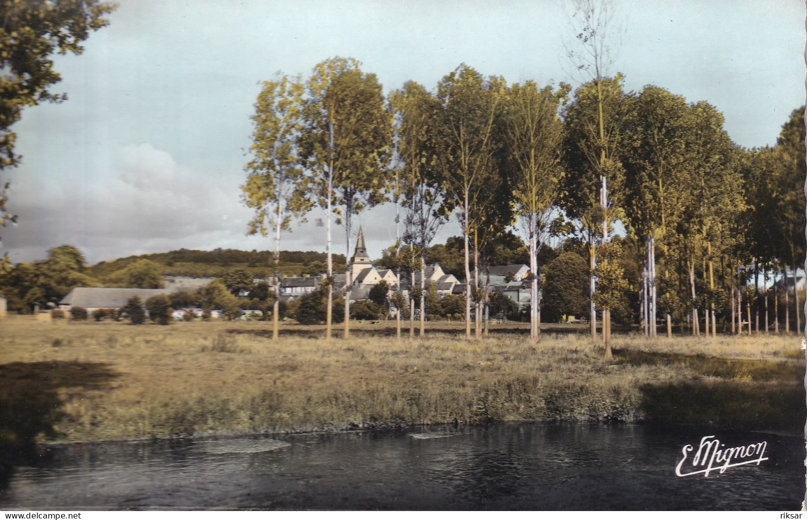 SAINT CLAIR SUR EPTE(ARBRE)