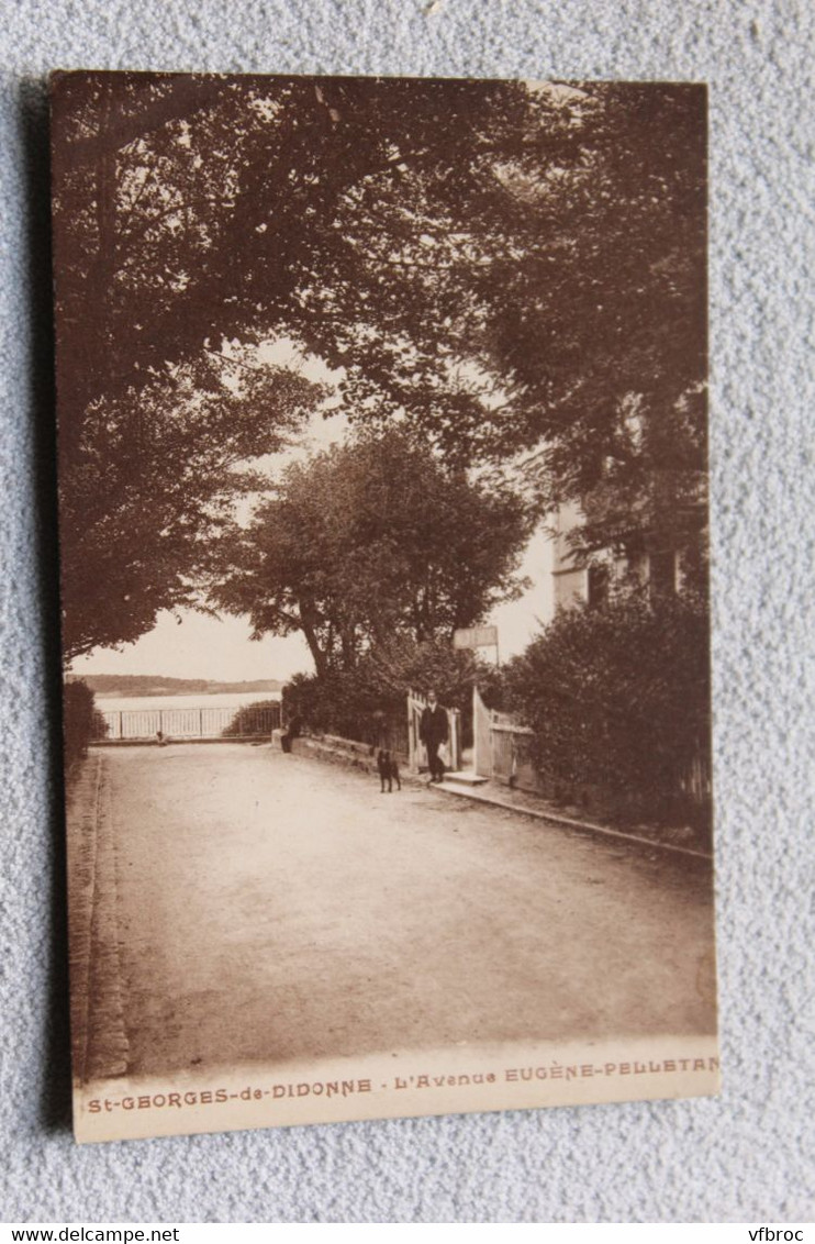 saint Georges de Didonne, l'avenue Eugène Pelletan, Charente maritime 17