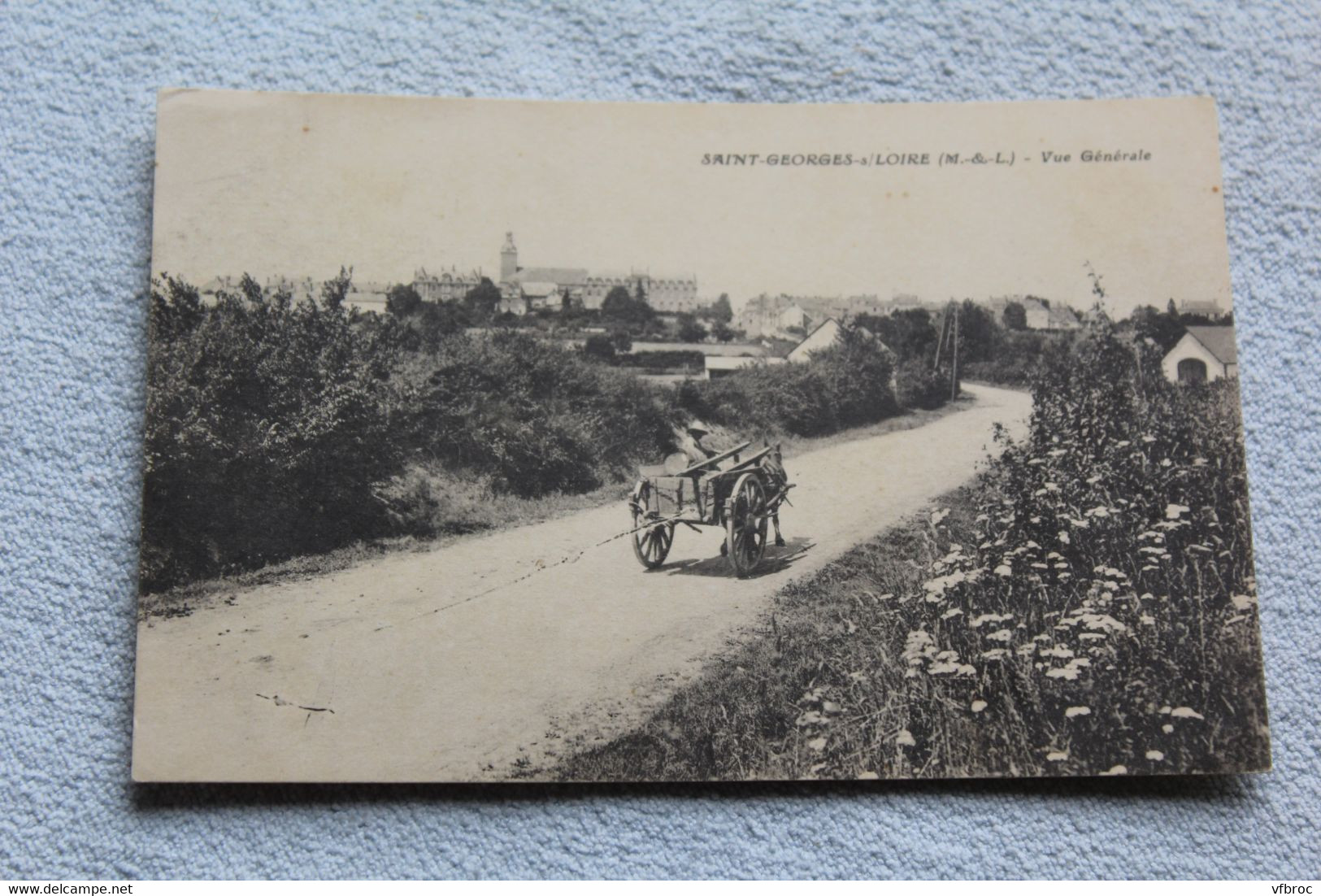 Saint Georges sur Loire, vue générale, Maine et Loire 49