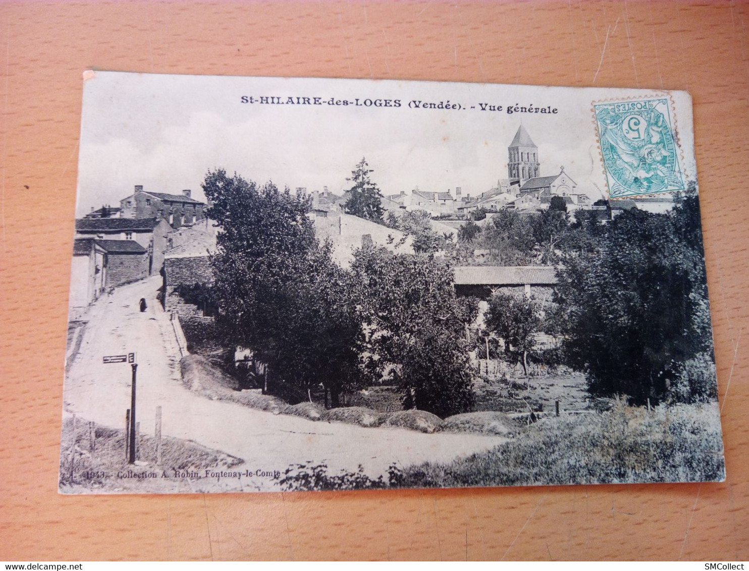 Saint Hilaire des Loges, vue générale (A7p78)