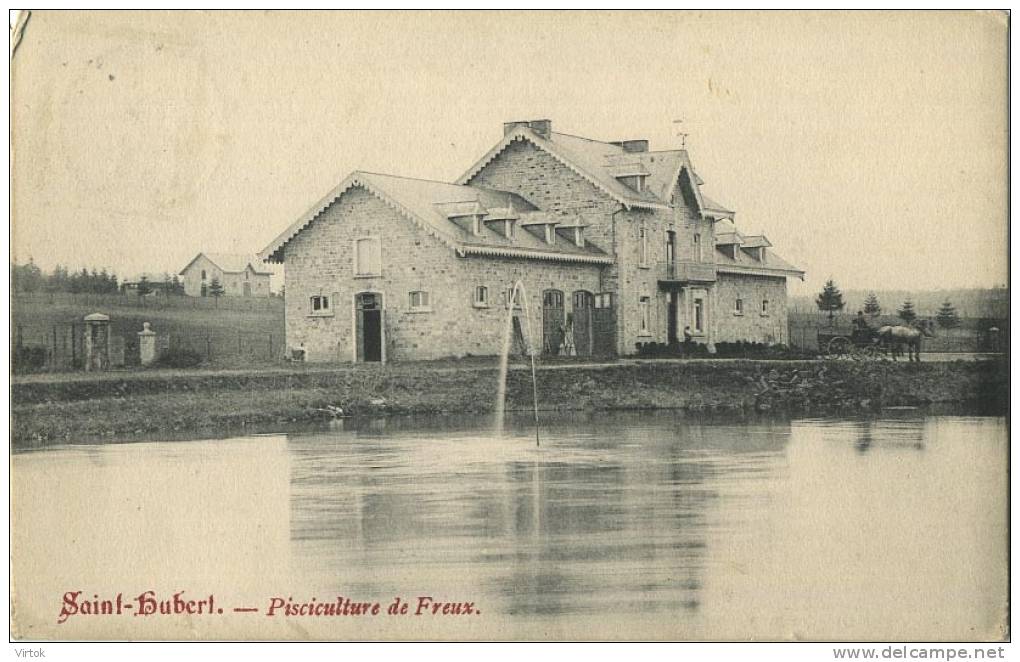 Saint-Hubert :  pisciculture de Freux   ( ecrit   1908 avec timbre )