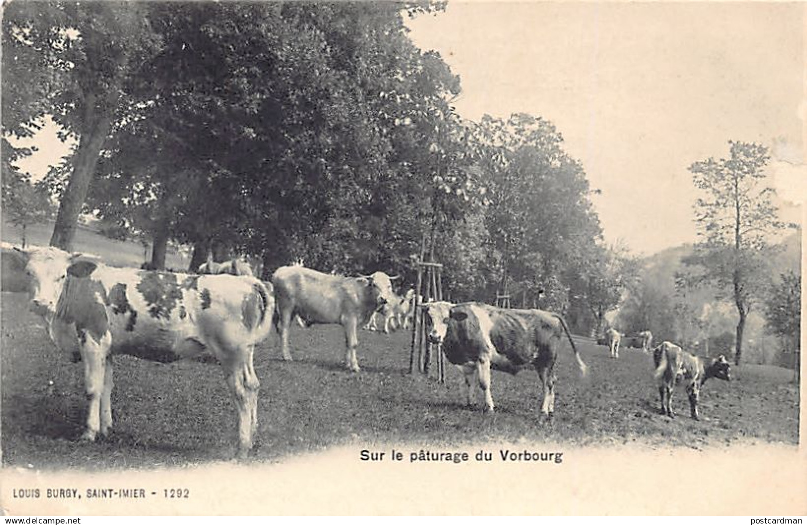 SAINT-IMIER (BE) Sur le pâturage du Vorbourg - Ed. Burgy 1292