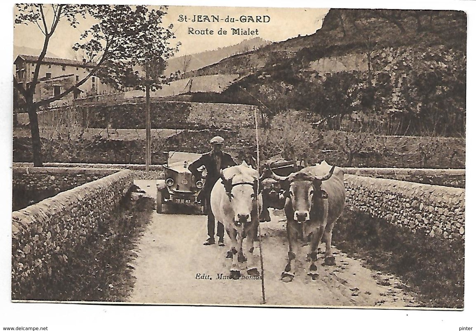 SAINT JEAN DU GARD - Route de Mialet