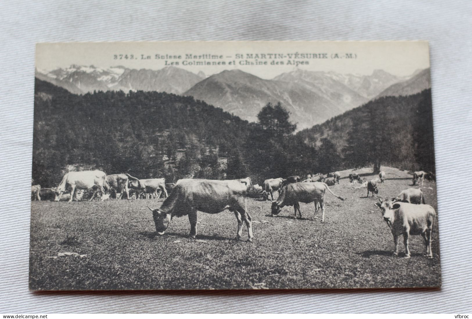 Saint Martin Vésubie, les Colmianes et chaîne des Alpes, Alpes Maritimes 06