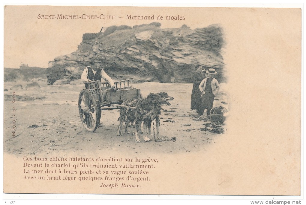 SAINT MICHEL CHEF CHEF - Marchand de Moules - Attelage de Chiens