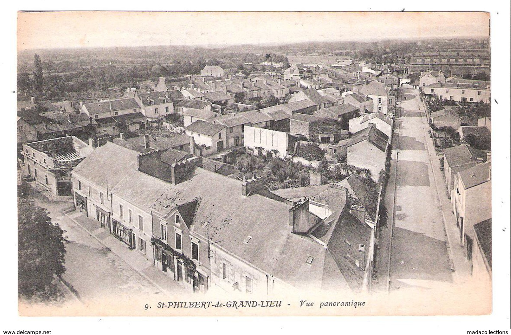 Saint-Philbert-de-Grand-Lieu (44 - Loire Atlantique ) vue panoramique