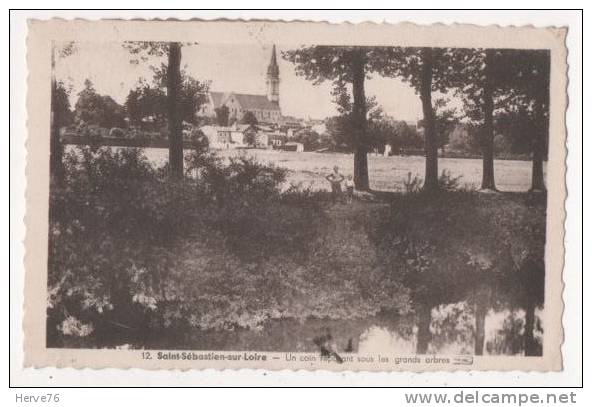 SAINT SEBASTIEN SUR LOIRE - un coin réparant sous les grands arbres