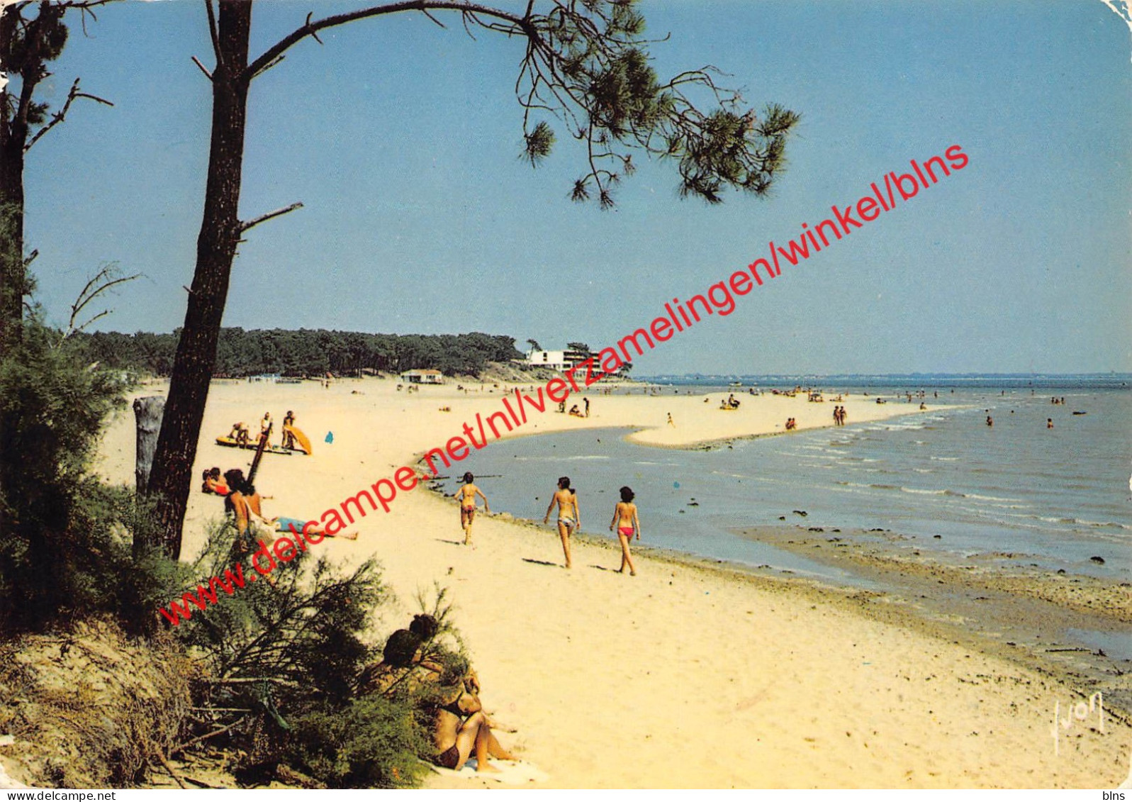 Saint-Trojan-les-Bains - La Plage de Gatseau - Charente Maritime - (17) Charente Maritime