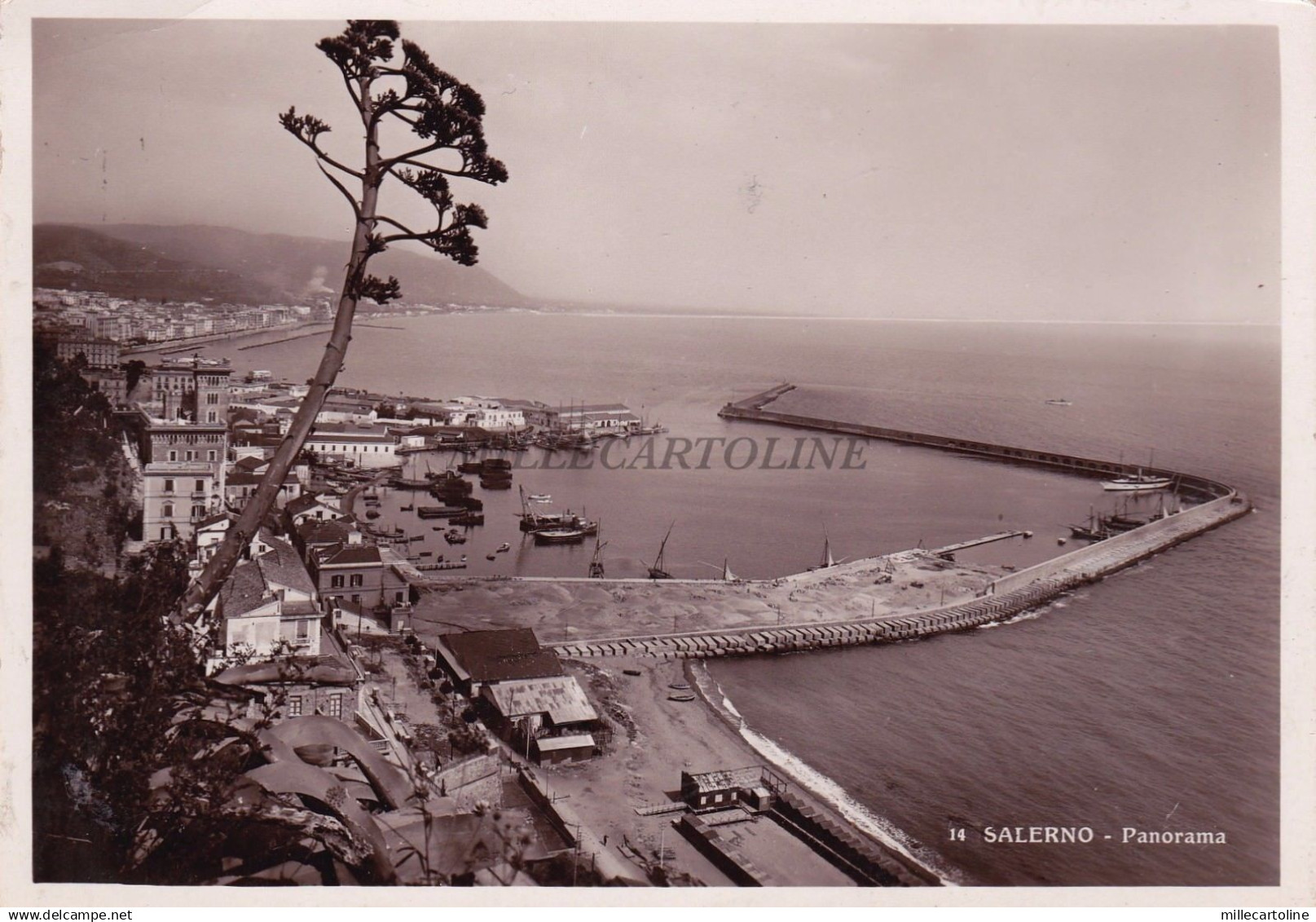 SALERNO - Panorama 7