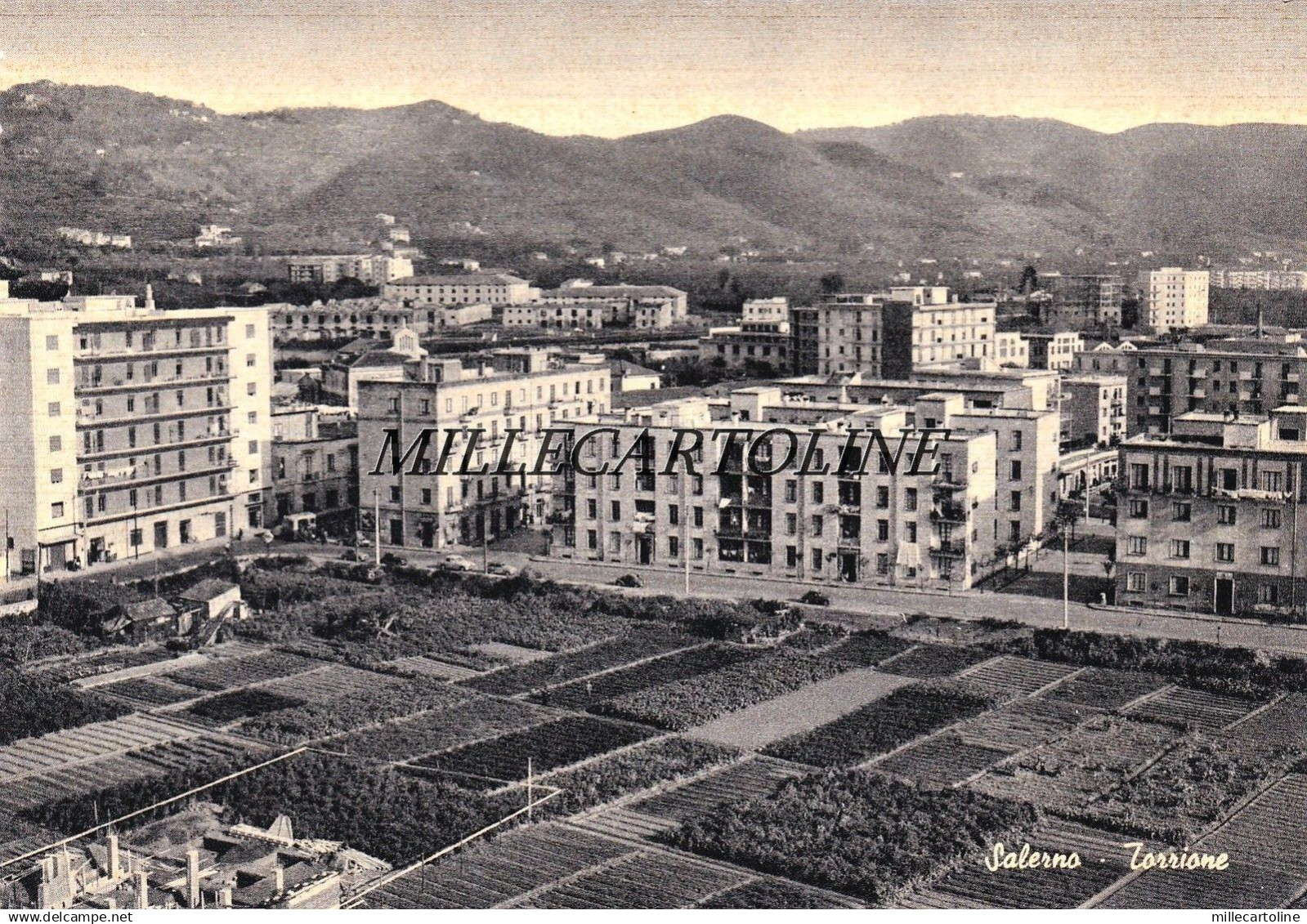 SALERNO: Torrione