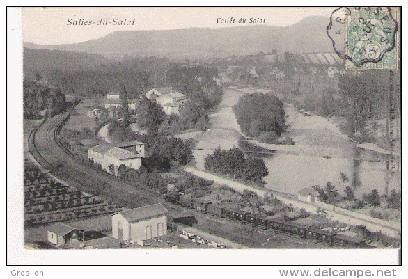 SALIES DU SALAT VALLEE DU SALAT (TRAIN CIRCULANT)