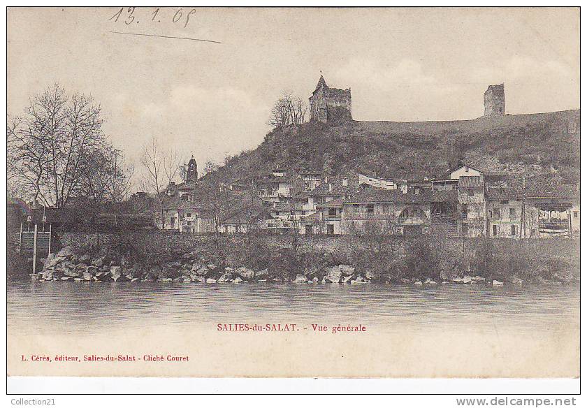 SALIES DU SALAT ... VUE GENERALE