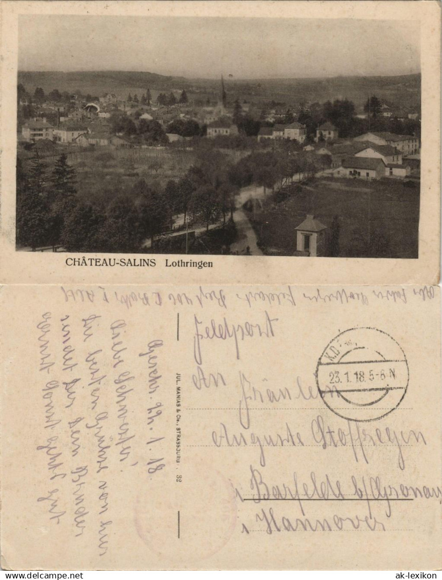 Salzburg (Lothringen) Château-Salins Stadtpartie - Lorraine Lothringen 1918