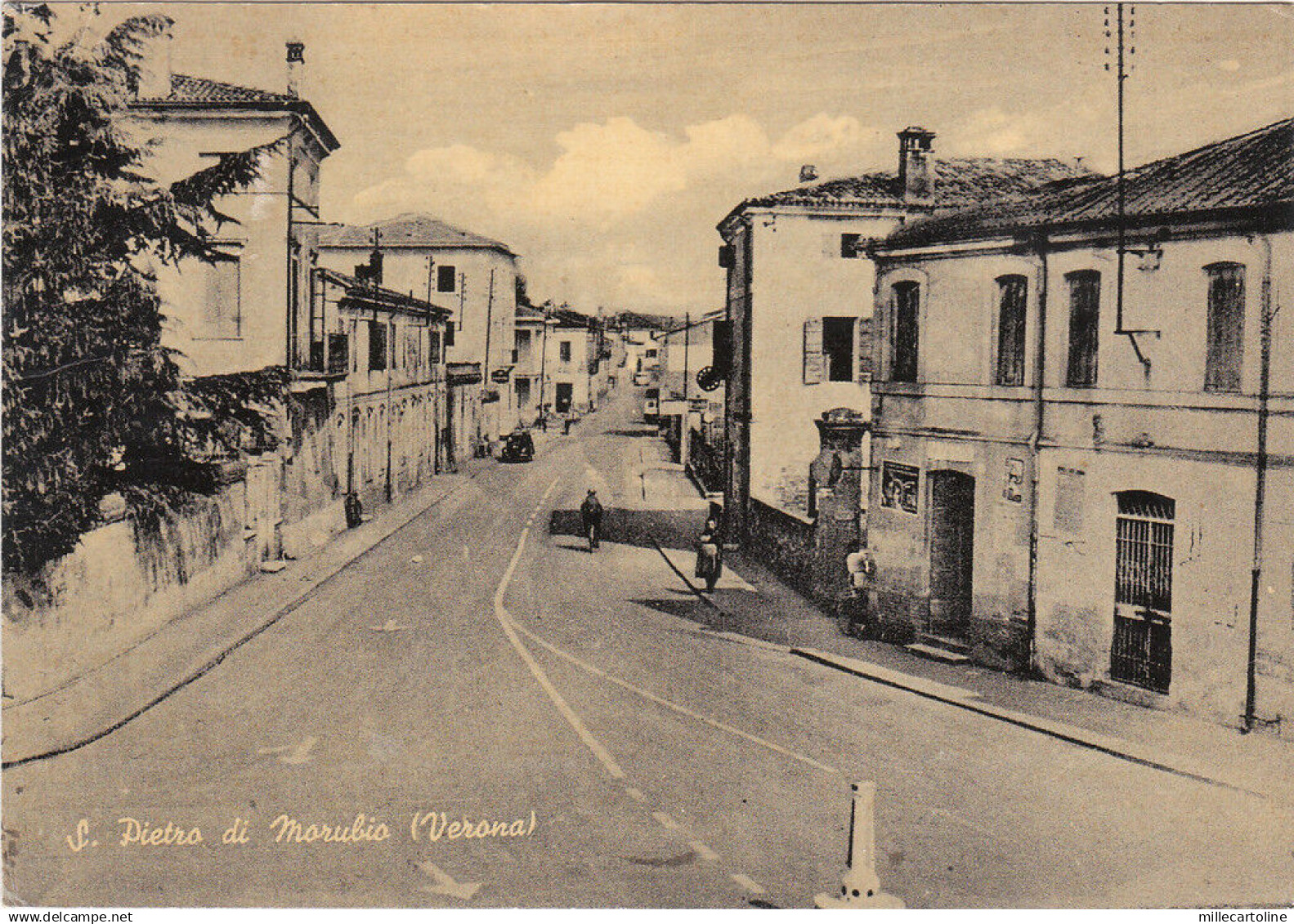 * SAN PIETRO DI MORUBIO - Panorama