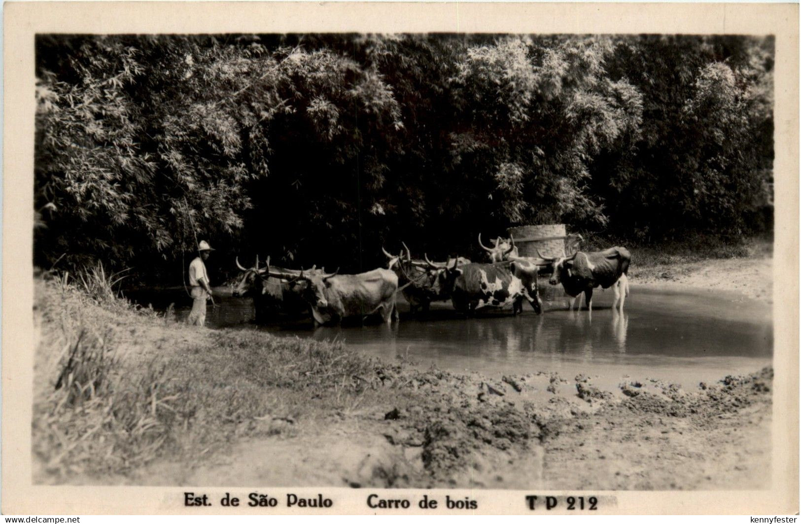 Sao Paulo - Carro de bois