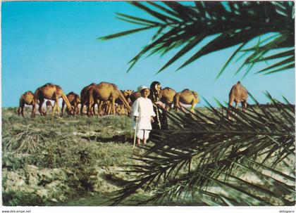 ARABIA SAUDITA - SAUDI ARABIA - THE CHILDREN OF THE DESERT -82028-