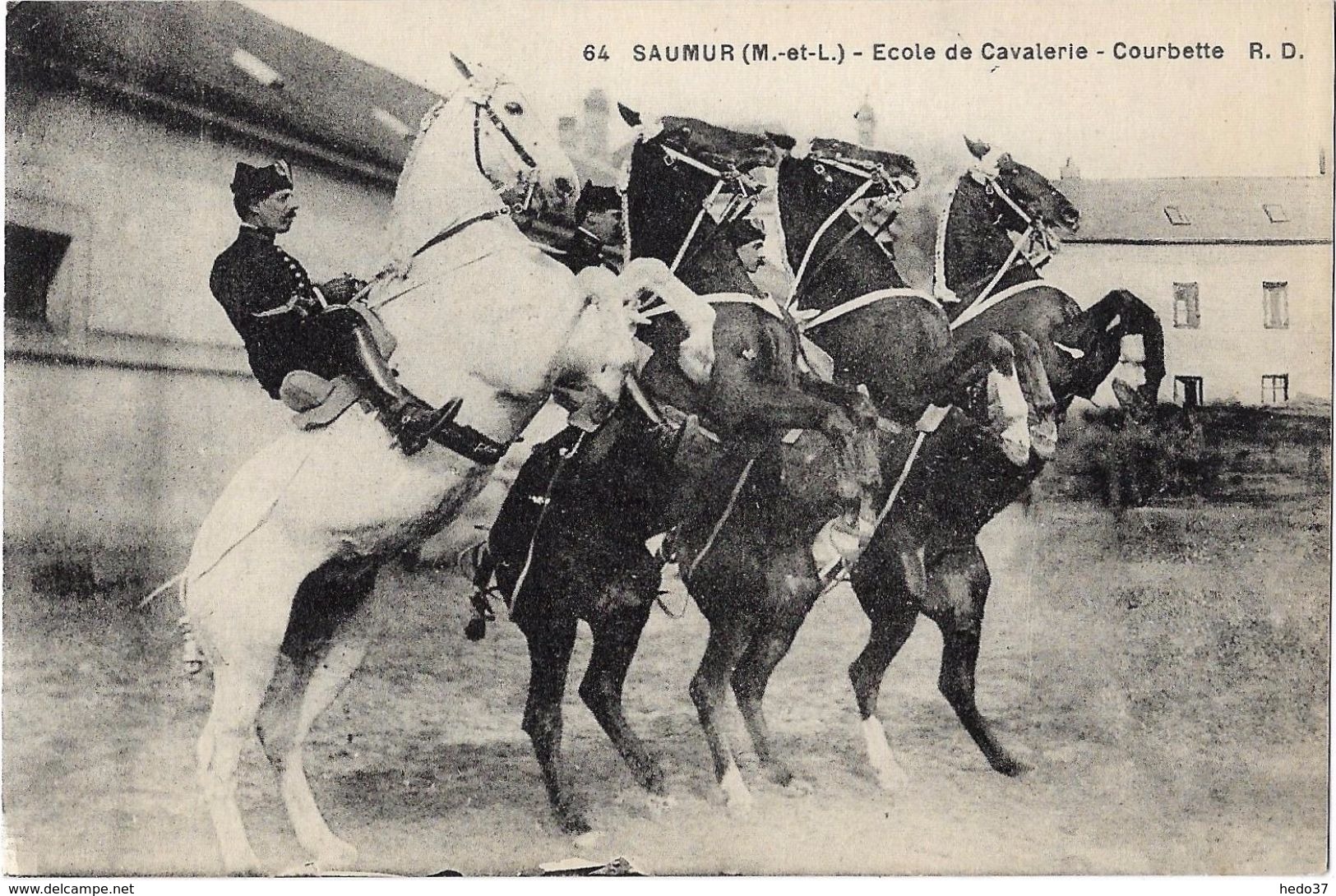 Saumur - Ecole de Cavalerie - Courbette