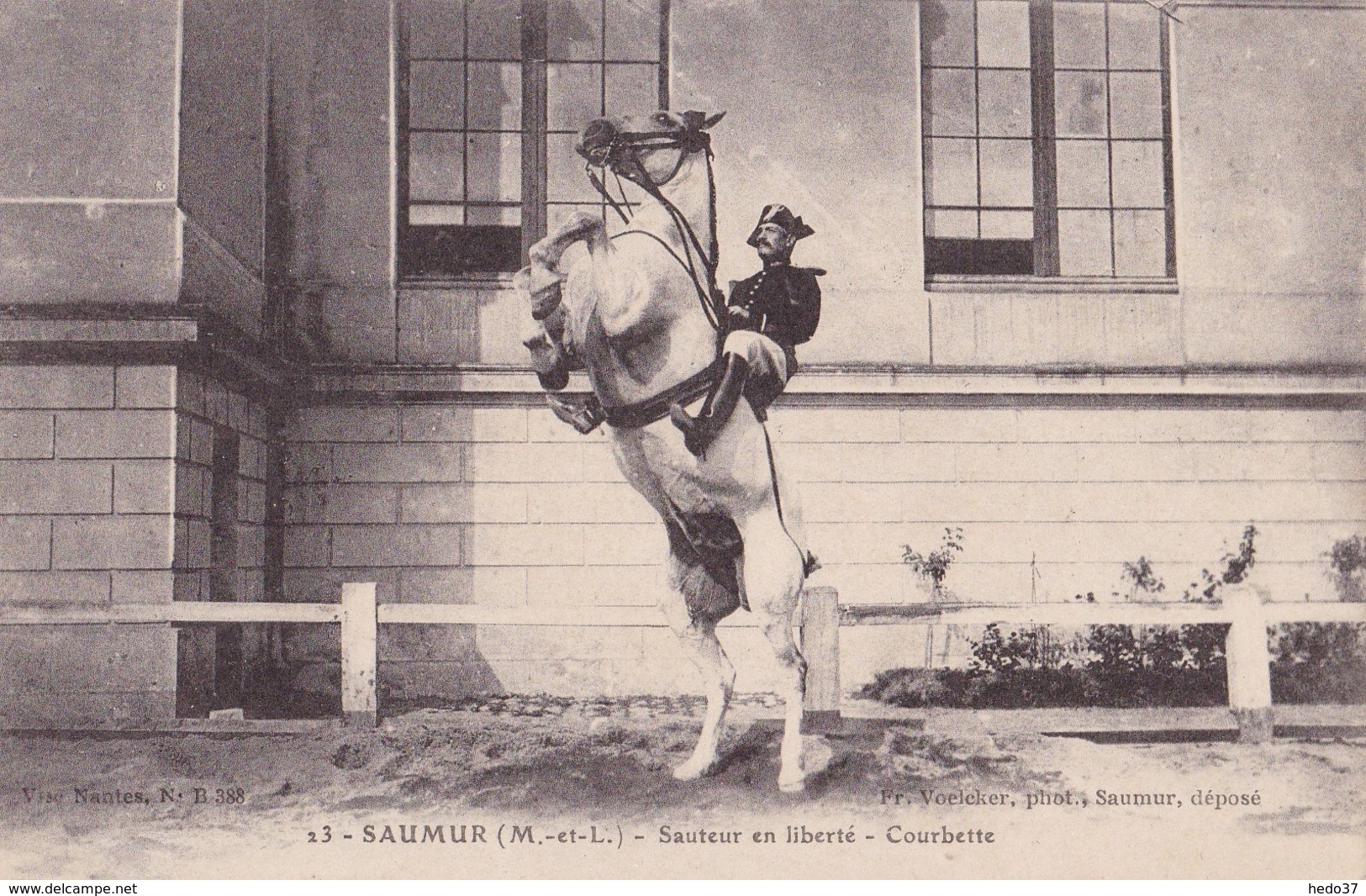 Saumur - Sauteur en liberté - Courbette