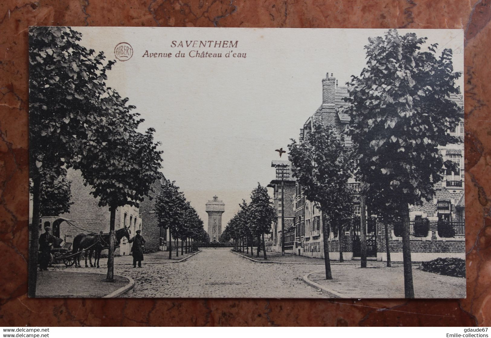 SAVENTHEM (BRABANT FLAMAND) - AVENUE DU CHATEAU D'EAU