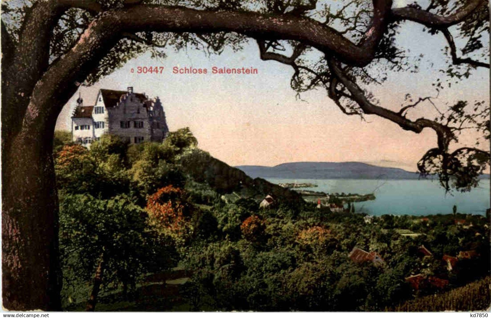 Schloss Salenstein