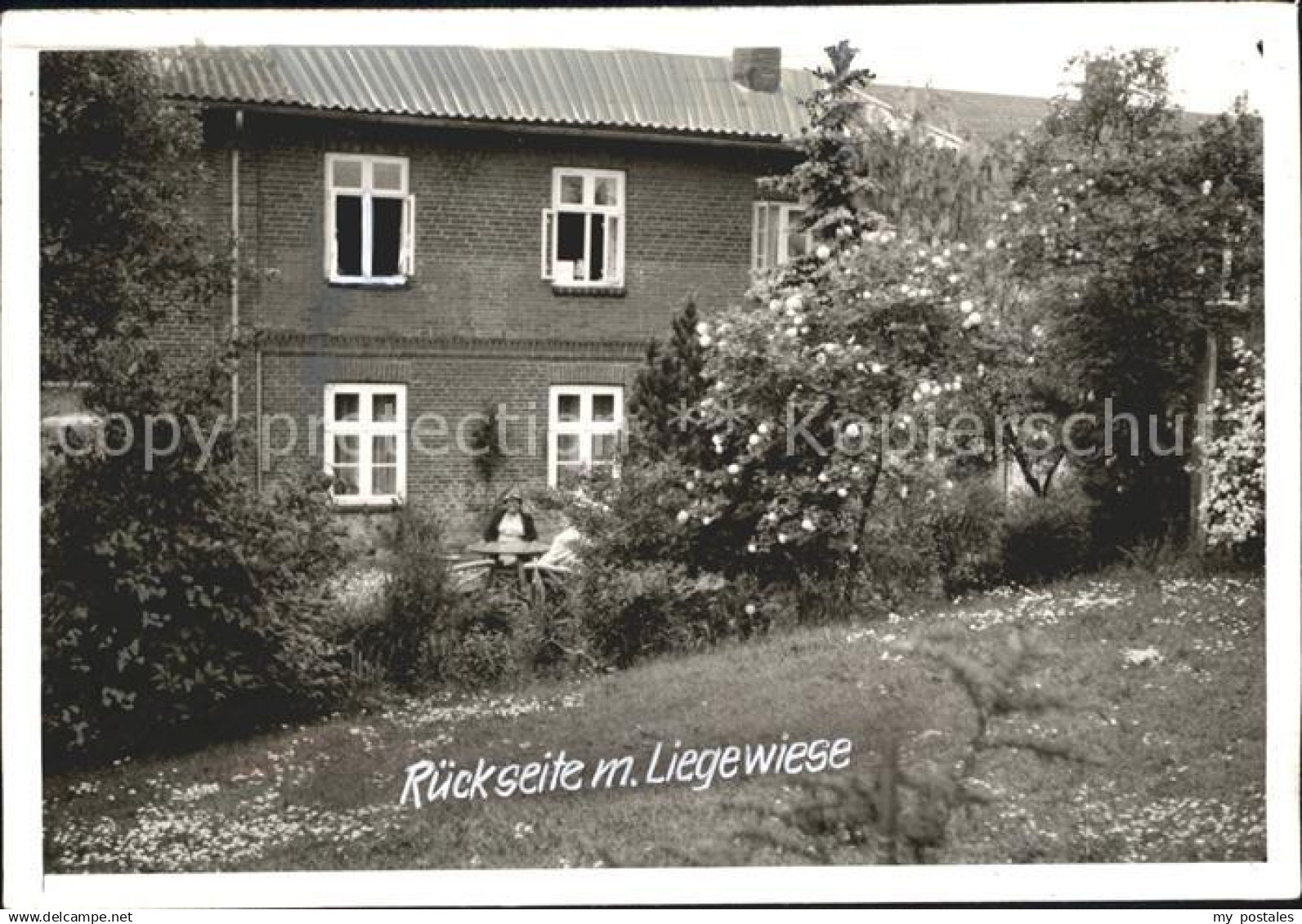 Schoenwalde Bungsberg Rueckseite Liegewiese