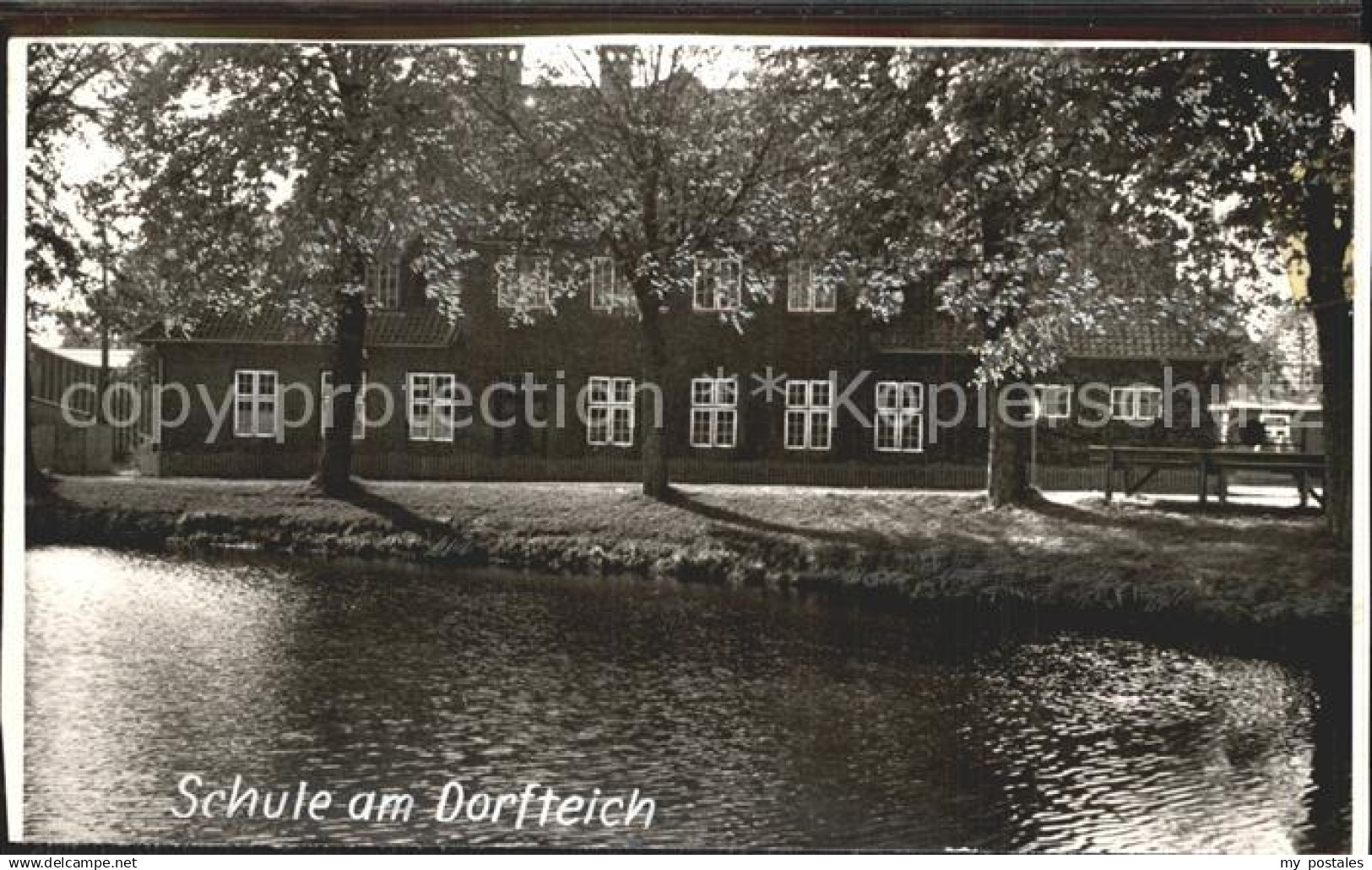 Schoenwalde Bungsberg Schule Dorfteich