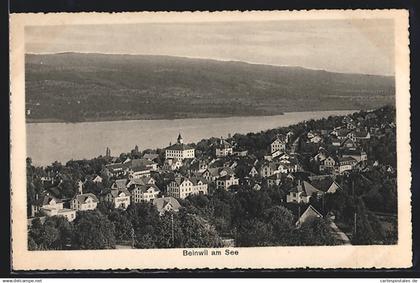 AK Beinwil am See, Ortsansicht aus der Vogelschau