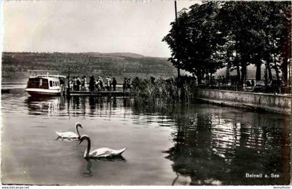 Beinwil am See