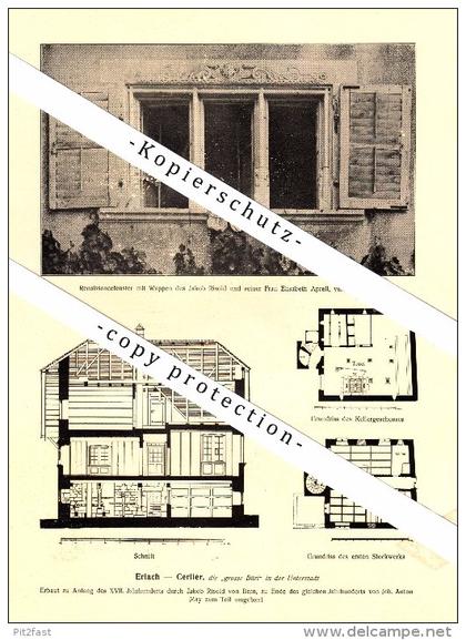 Photographien / Ansichten , 1917 , Erlach - Cerlier , Prospekt , Fotos , Architektur !!!