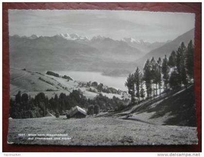 Sigriswil (BE) - Blick vom Niesenbänkli (Schwanden)